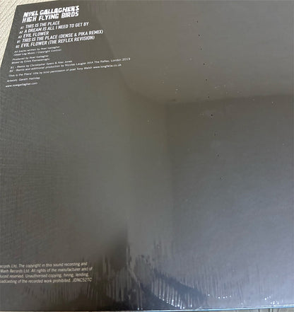 Noel Gallagher's High Flying Birds【This Is The Place】新品レコード
