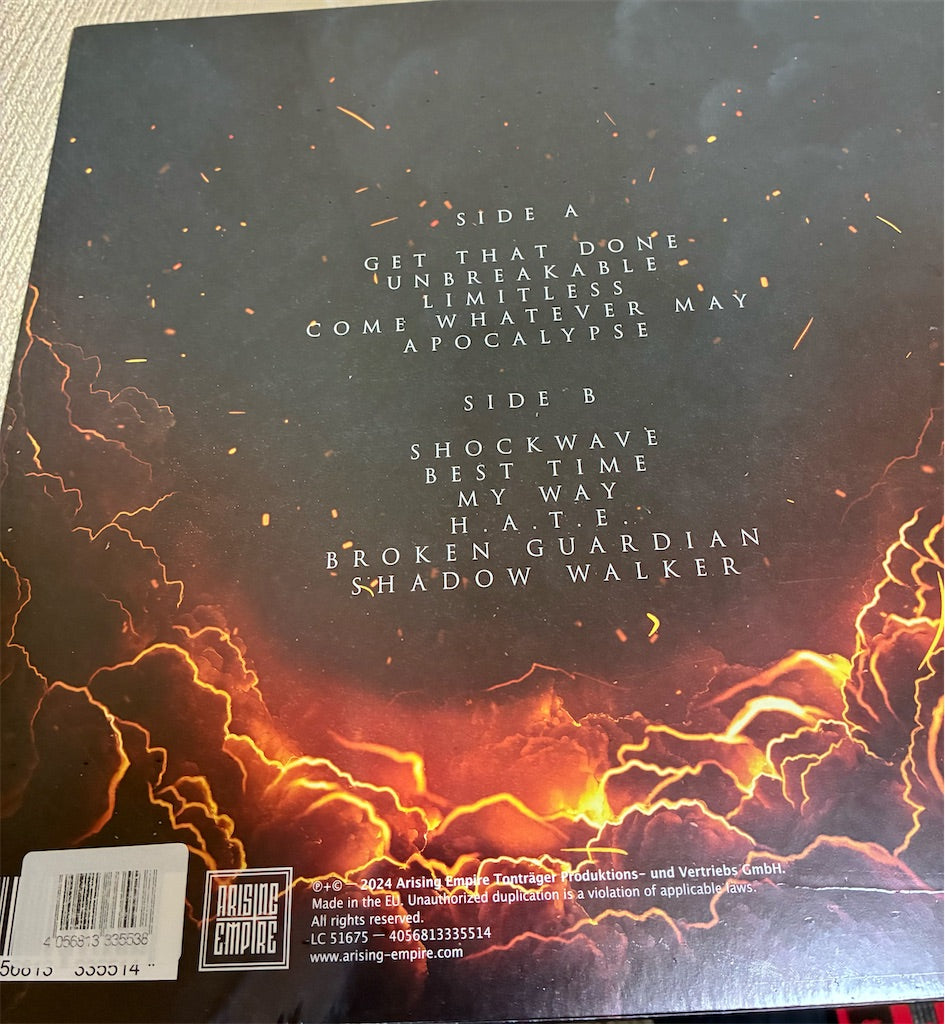 Any Given Day【Limitless】中古レコード