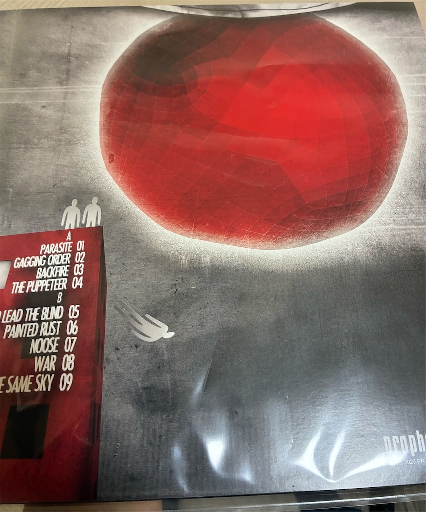 Sleeping Pulse【Under The Same Sky】新品レコード