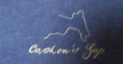 Current 93【I Have a Special Plan for This World】新品レコード