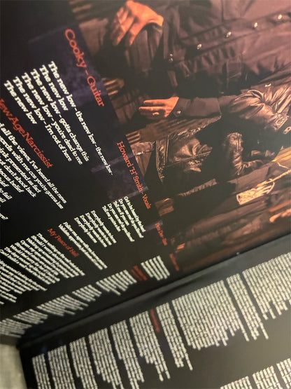 Acid Reign【The Age of Entitlement】中古レコード