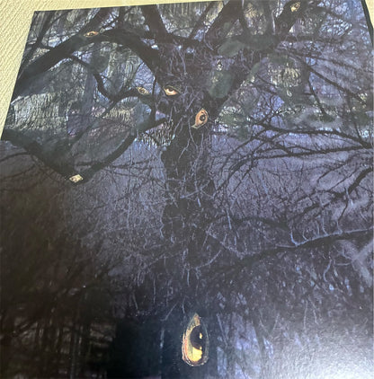 Trelldom【...By The Shadows...】新品レコード
