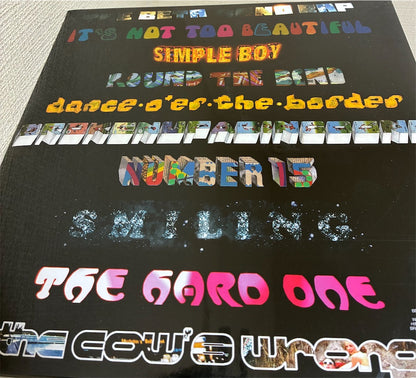 The Beta Band【The Beta Band】新品レコード