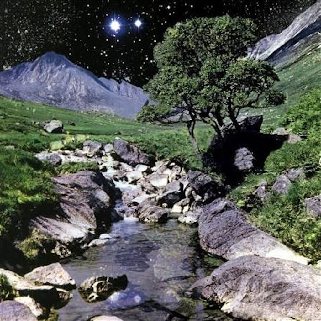 The Beta Band【The Beta Band】新品レコード