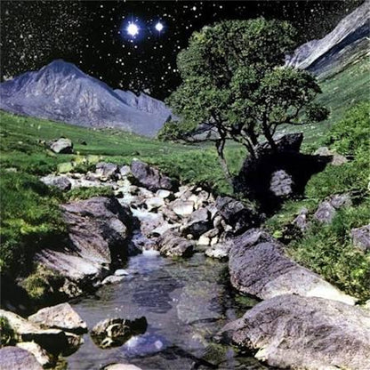The Beta Band【The Beta Band】新品レコード