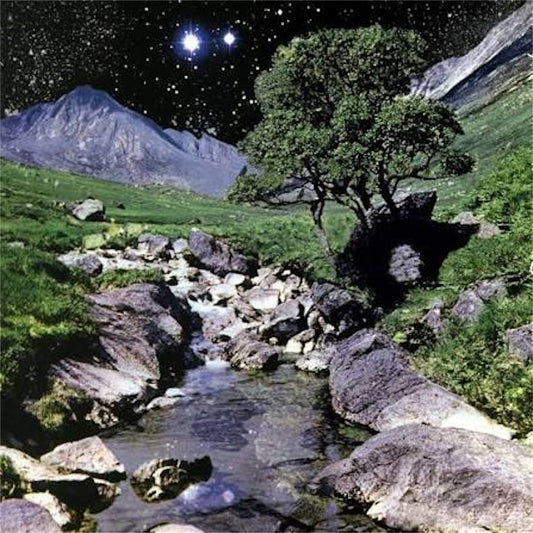 The Beta Band【The Beta Band】新品レコード