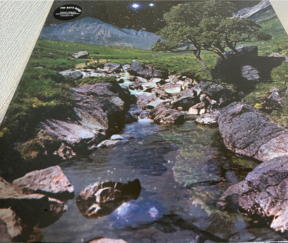 The Beta Band【The Beta Band】新品レコード