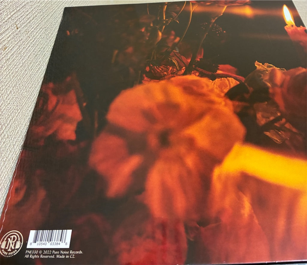 Senses Fail【Hell Is in Your Head】新品レコード