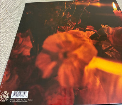 Senses Fail【Hell Is in Your Head】新品レコード