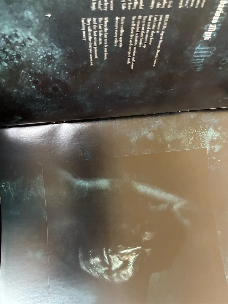 Horresque【Chasms Pt. II - The Devouring Exorbitance】中古レコード