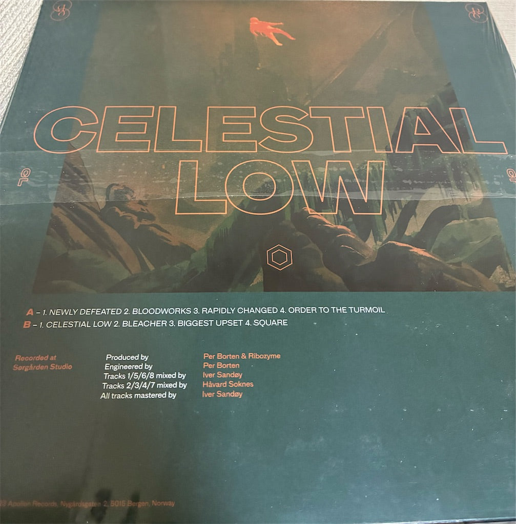 Ribozyme【CELESTIAL LOW】新品レコード