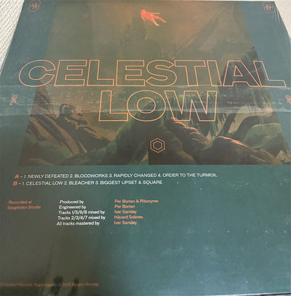 Ribozyme【CELESTIAL LOW】新品レコード