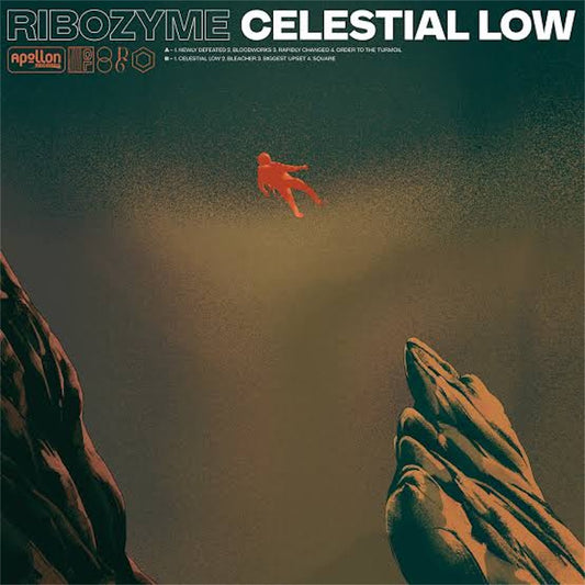 Ribozyme【CELESTIAL LOW】新品レコード