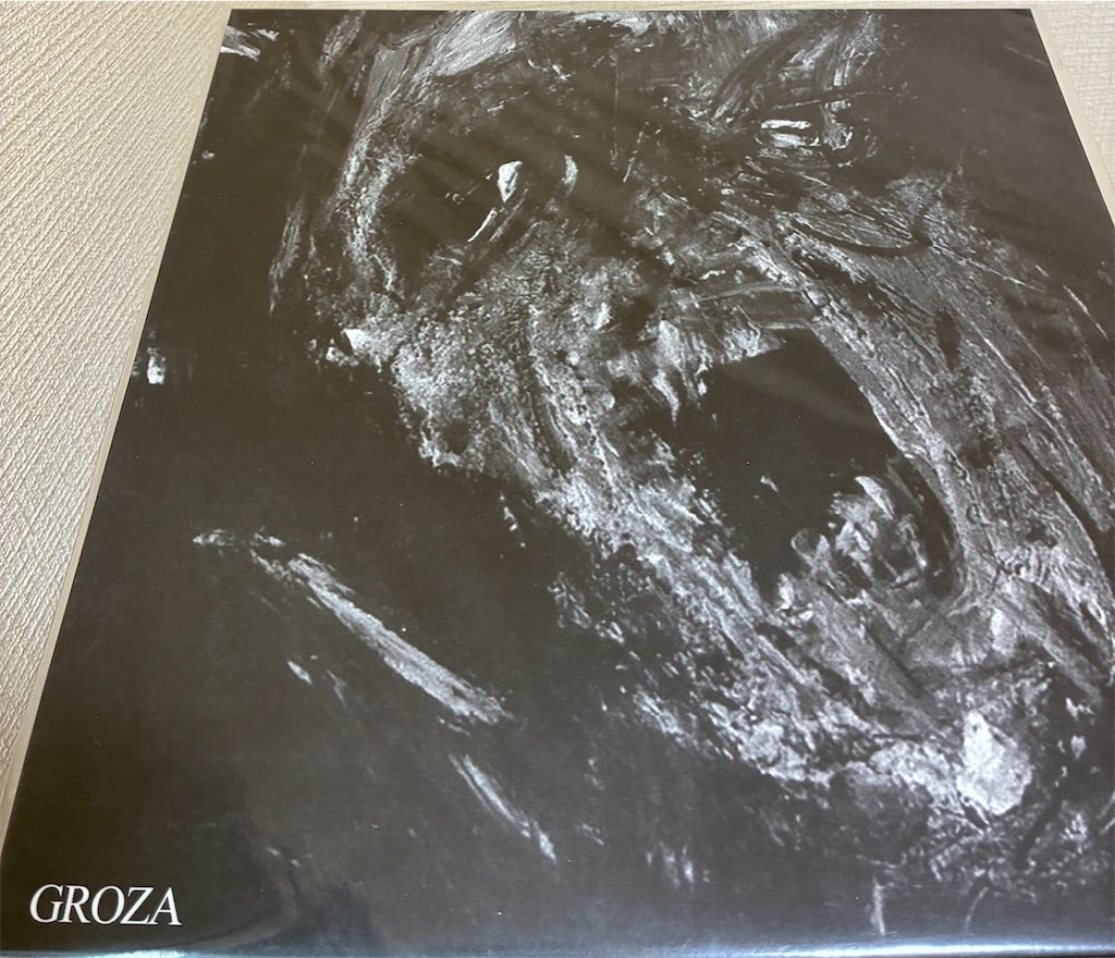 売り物レコード　Mgła【Groza】新品レコード