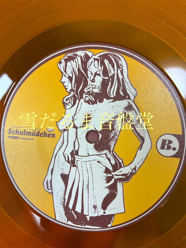 Gert Wilden【Schulmädchen Report 女子学生(秘)レポートOST】中古レコード