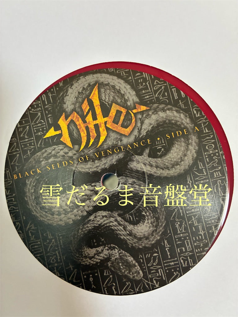 Nile【Black Seeds of Vengeance】中古レコード