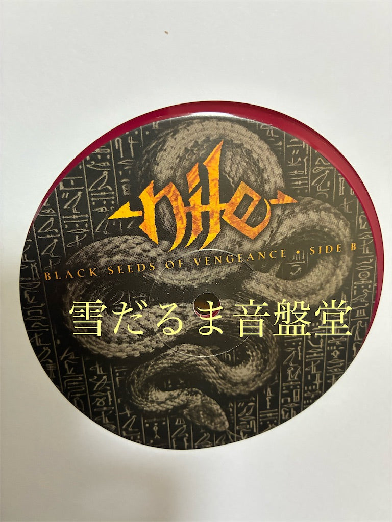 Nile【Black Seeds of Vengeance】中古レコード