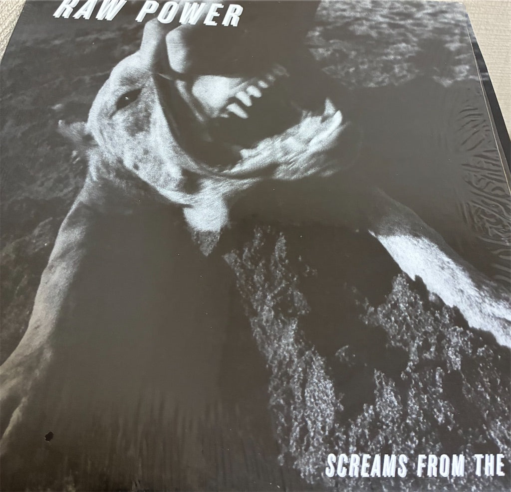 Raw Power【Screams From The Gutter】中古レコード