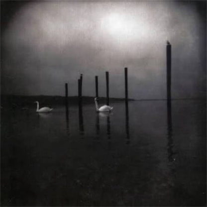 OM【Conference of the Birds】新品レコード