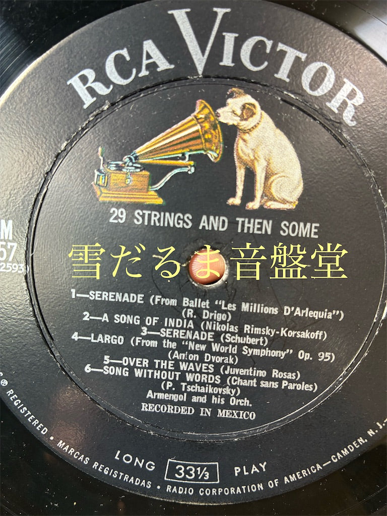 Mario Ruiz Armengol【29 STRINGS AND THEN SOME】中古レコード