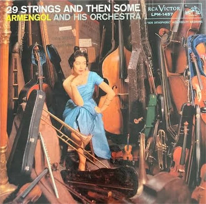 Mario Ruiz Armengol【29 STRINGS AND THEN SOME】中古レコード