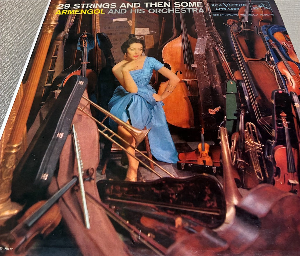 Mario Ruiz Armengol【29 STRINGS AND THEN SOME】中古レコード