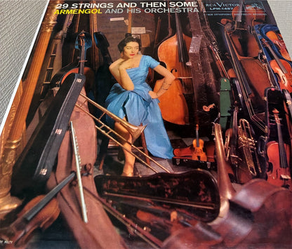 Mario Ruiz Armengol【29 STRINGS AND THEN SOME】中古レコード