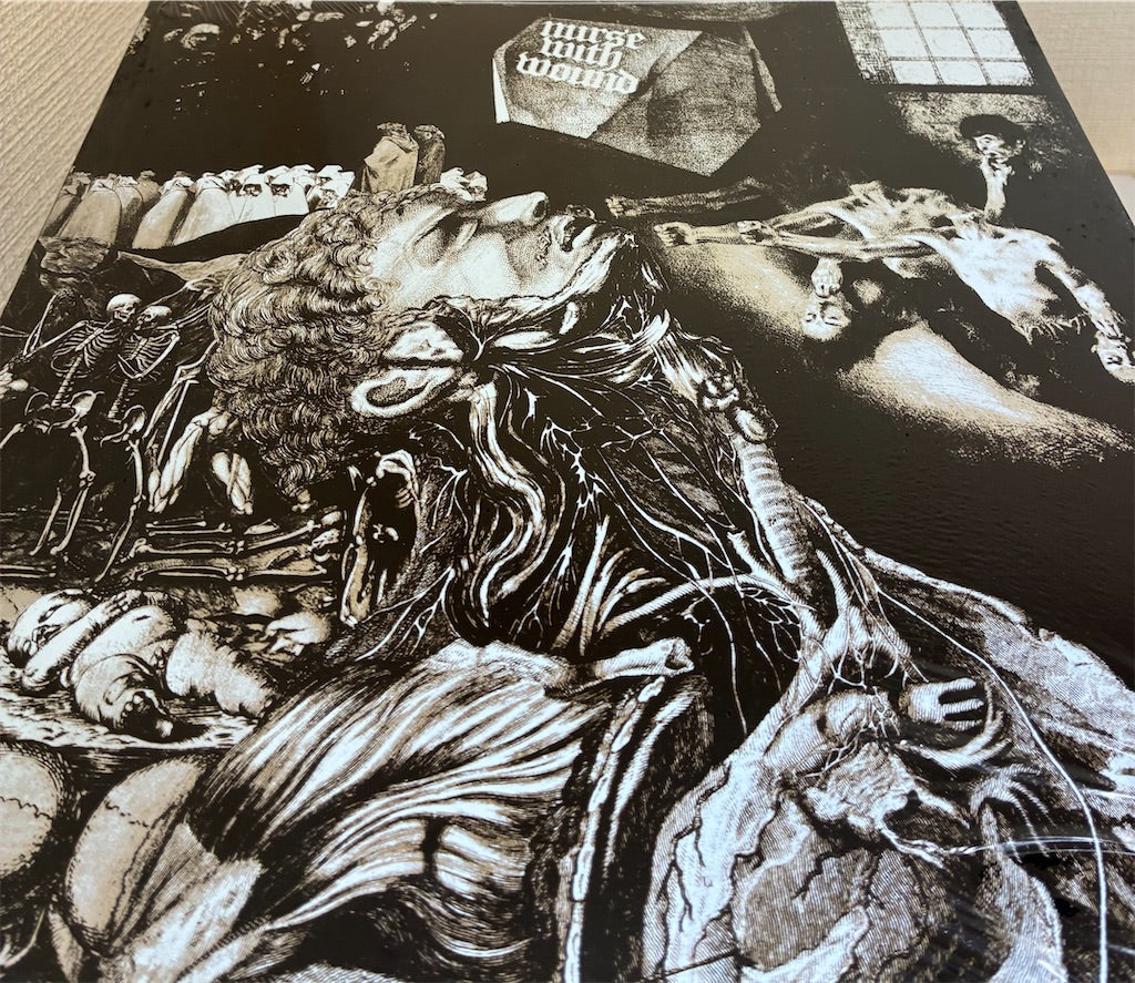 Nurse With Wound【Merzbild Schwet】新品レコード