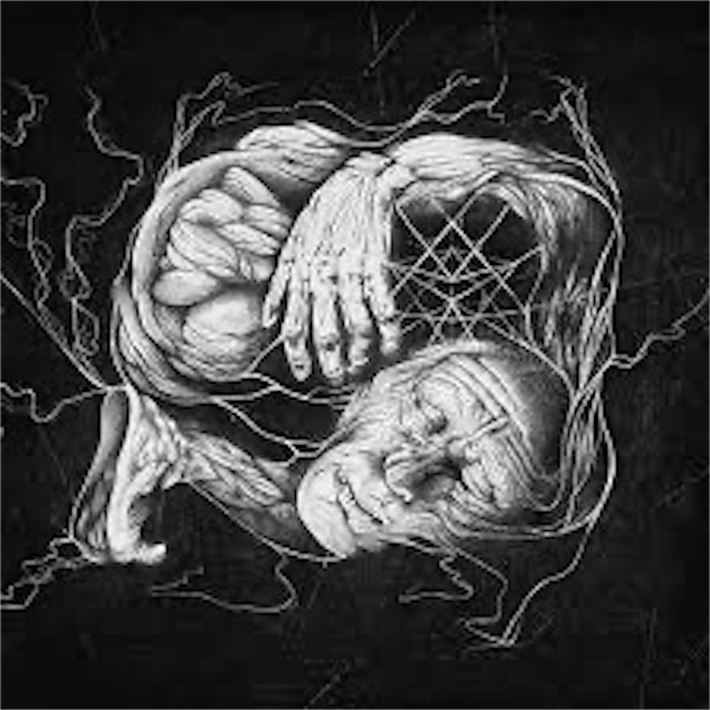 Verberis【Verberis】中古レコード