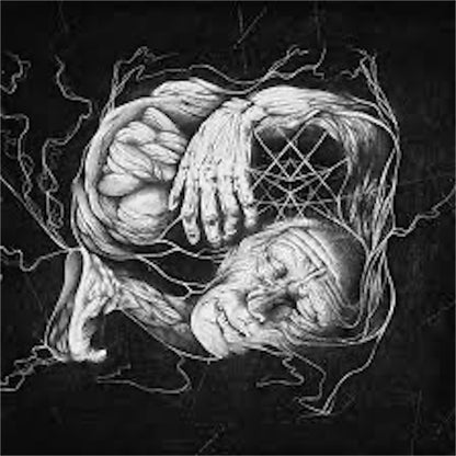 Verberis【Verberis】中古レコード