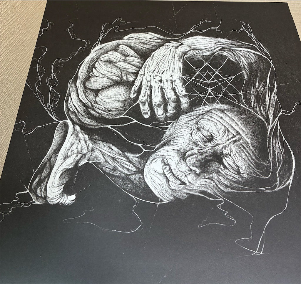 Verberis【Verberis】中古レコード