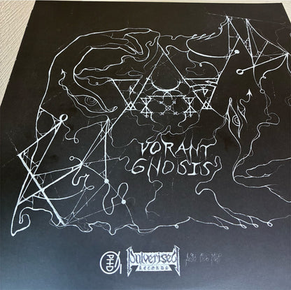 Verberis【Verberis】中古レコード