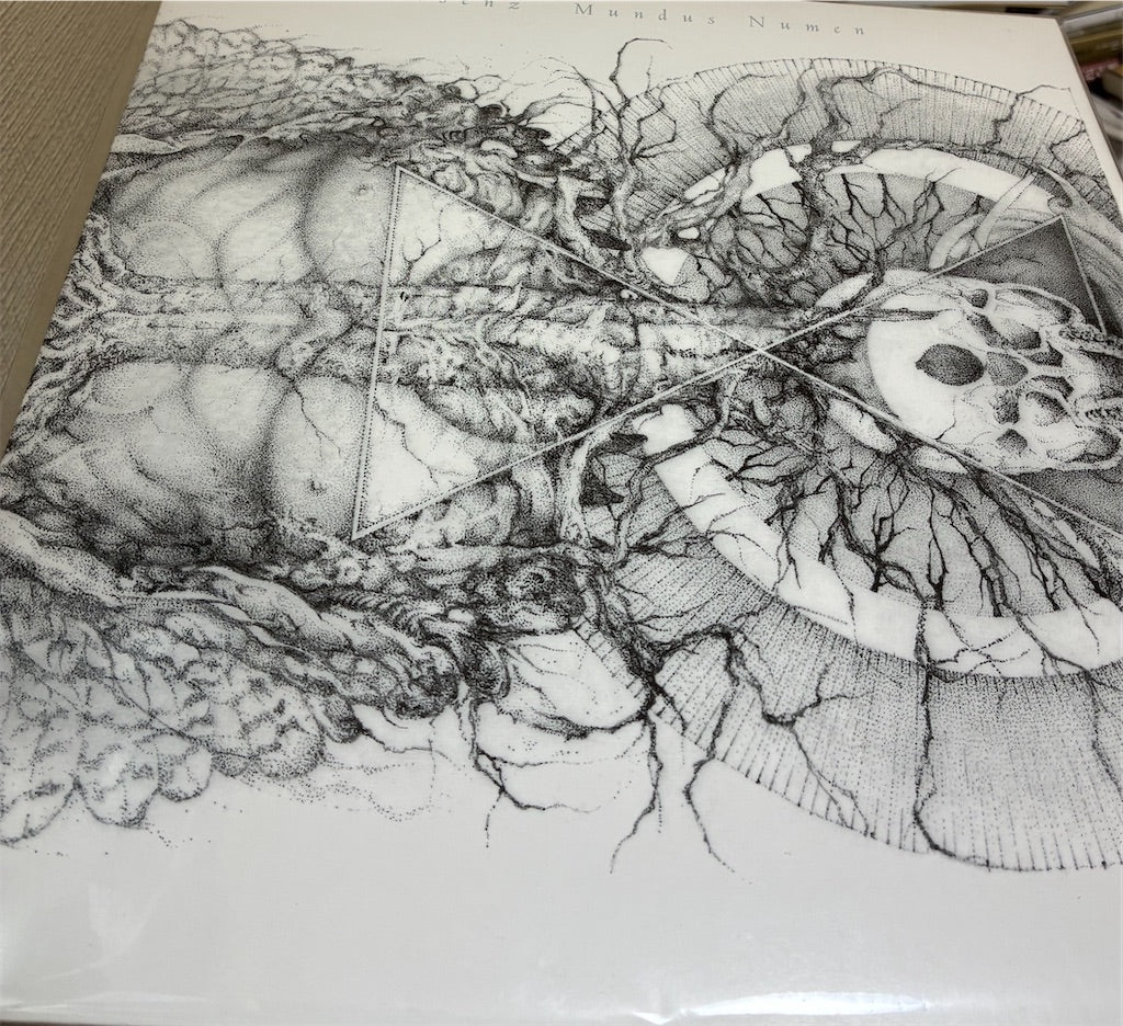 ESSENZ【Mundus Numen】中古レコード
