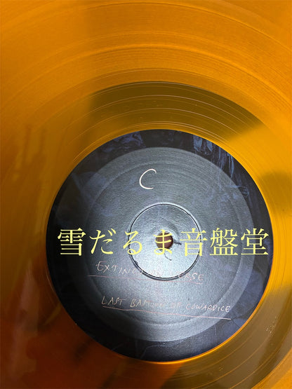 Northless【Last Bastion of Cowardice】中古レコード