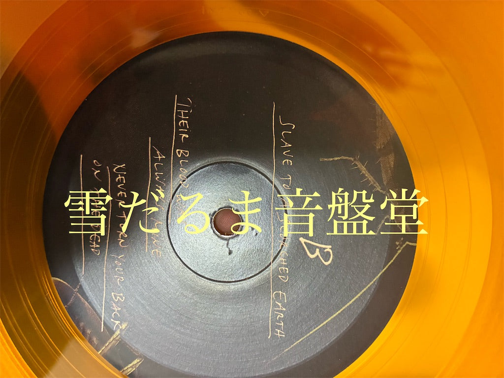 Northless【Last Bastion of Cowardice】中古レコード