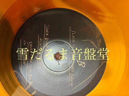 Northless【Last Bastion of Cowardice】中古レコード