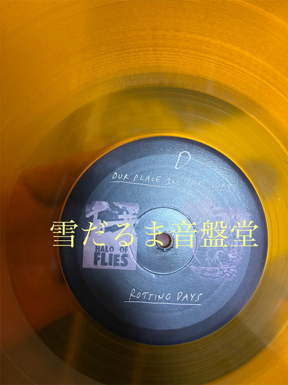 Northless【Last Bastion of Cowardice】中古レコード