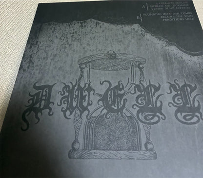 DWELL【Vermin And Ashes】中古レコード