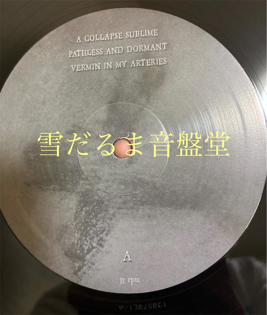 DWELL【Vermin And Ashes】中古レコード