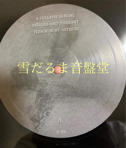 DWELL【Vermin And Ashes】中古レコード
